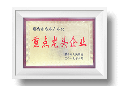 头号玩家官网平台