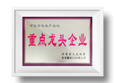 头玩官网下载安装